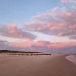 Les Mouettes Au