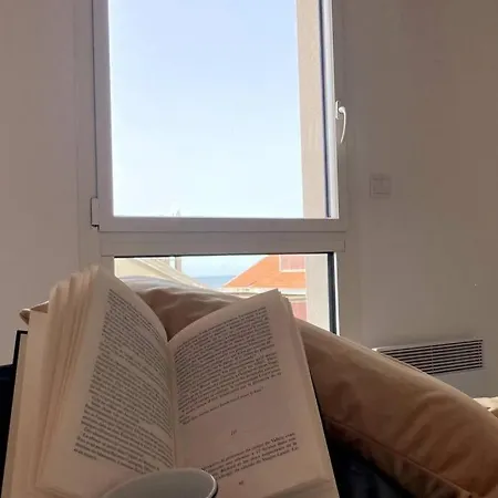 Les Mouettes Au Sangatte