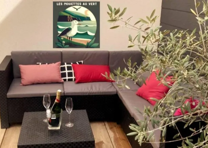 Les Mouettes Au Sangatte